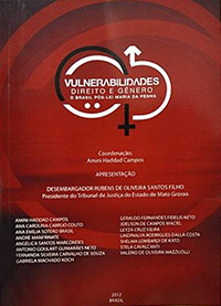 vulnerabilidades direito e genero